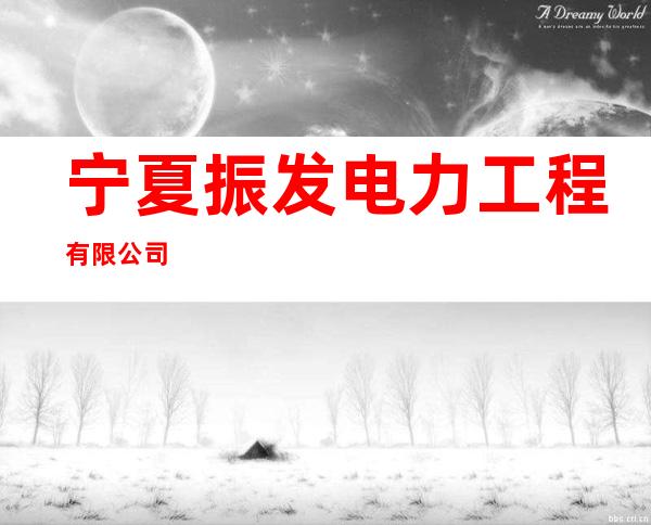 宁夏振发电力工程有限公司